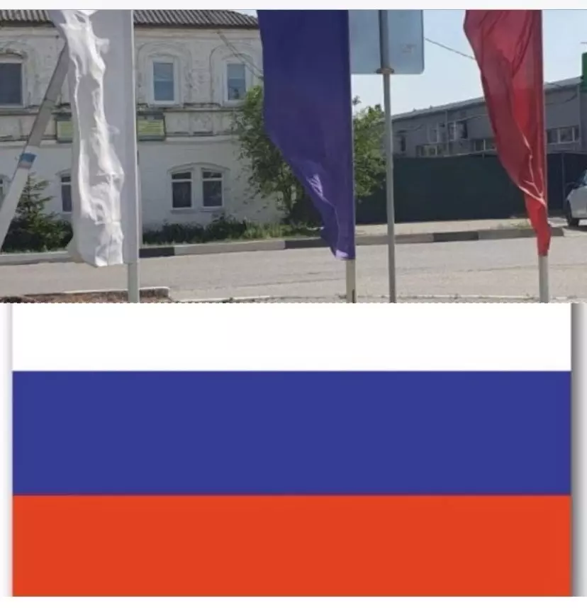 Белгородка утверждает, что один из цветов композиции всё-таки фиолетовый, а не синий