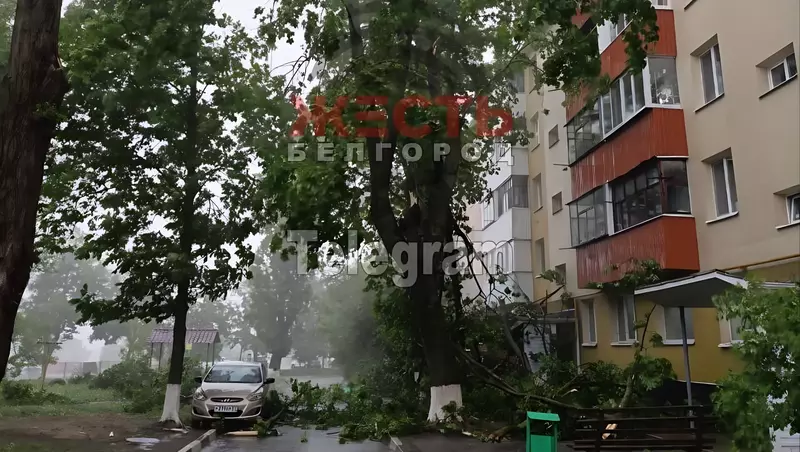 Повреждены провода и шесть автомобилей: Белгород накрыл штормовой ветер
