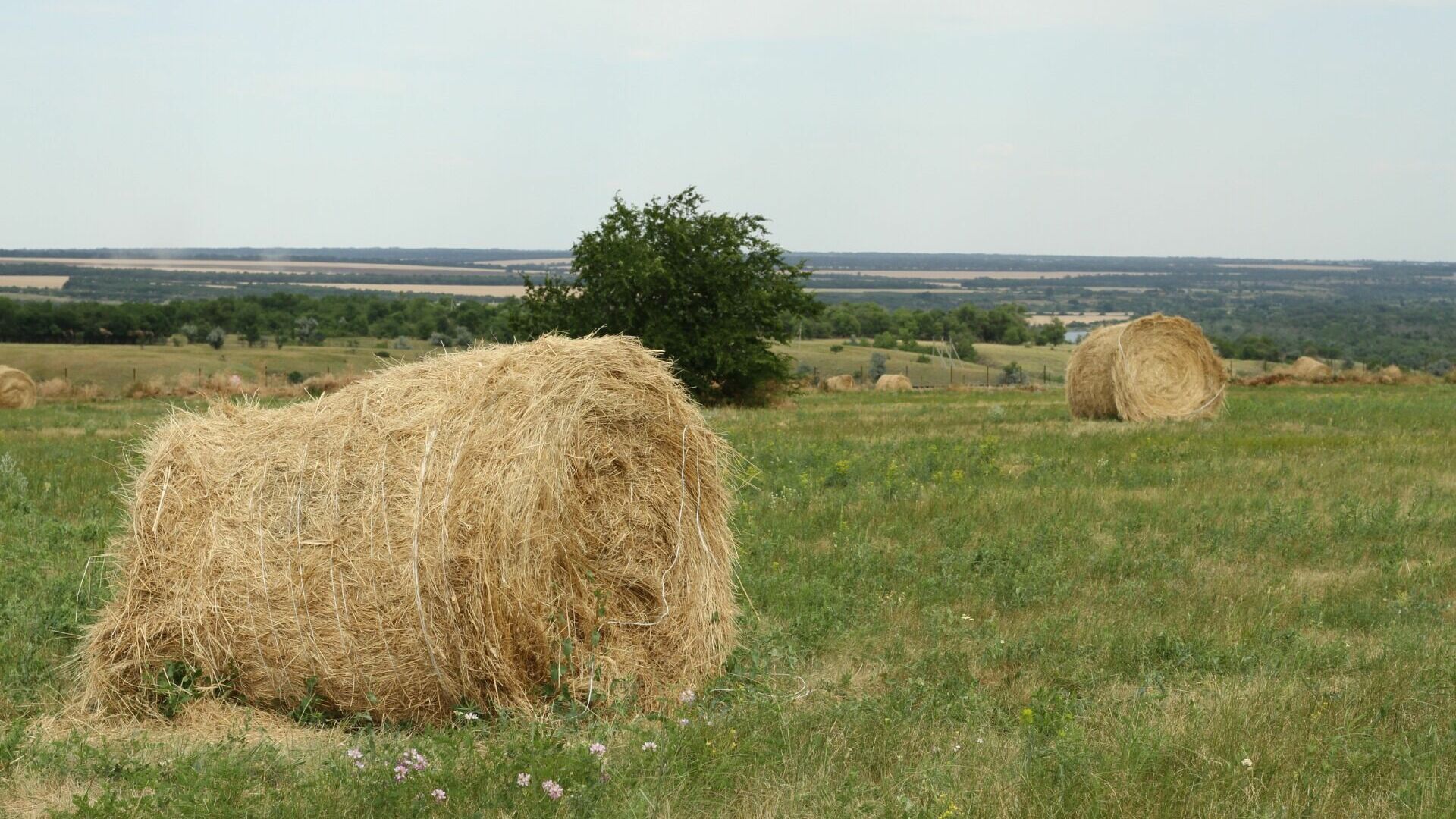 В Белгородской области утвердили регламент проведения весенне-полевых работ