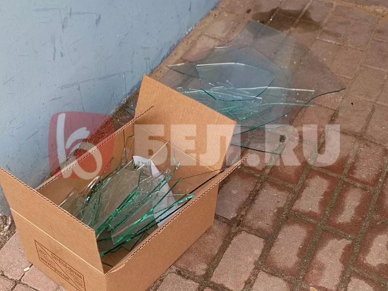 Белгородцы выносят осколки стекла из квартир