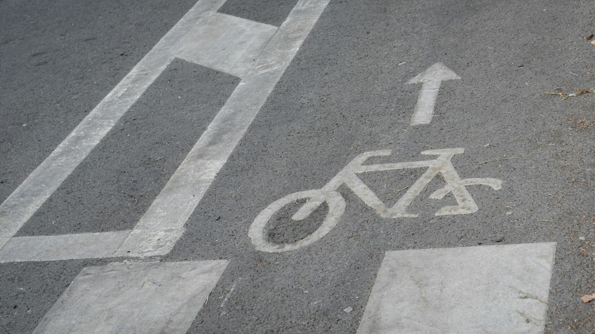 Белгородцы просят решить проблему движения велосипедов в городе
