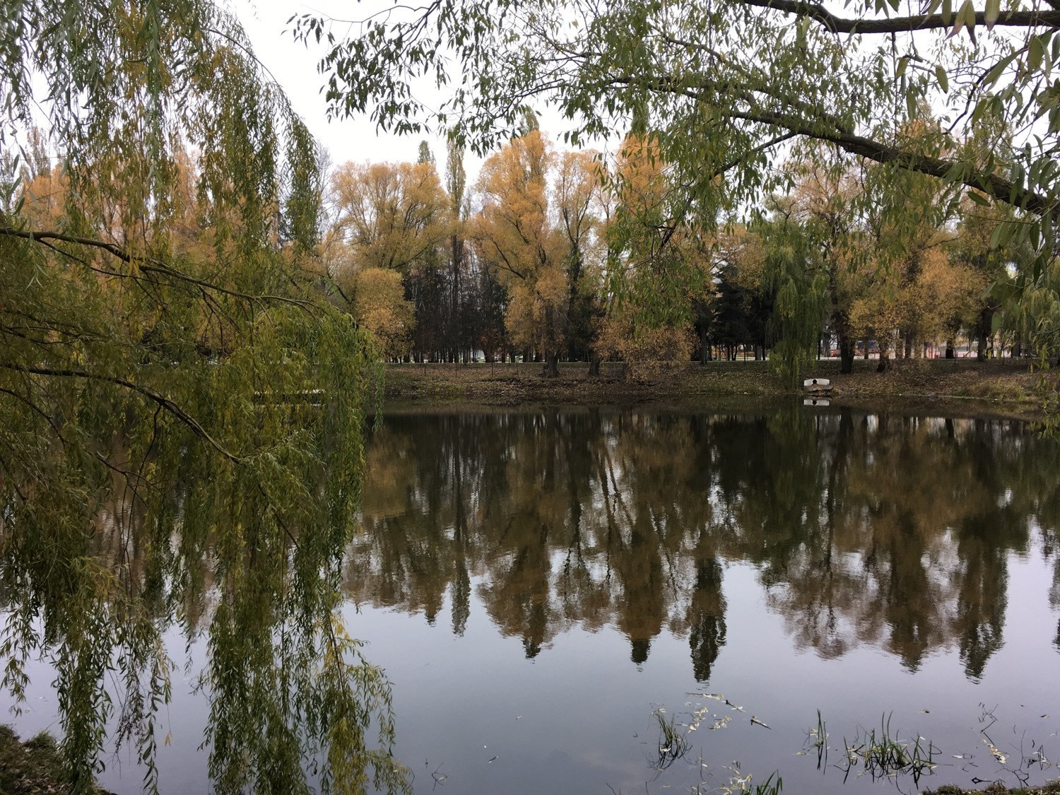 парк Победы в Белгороде