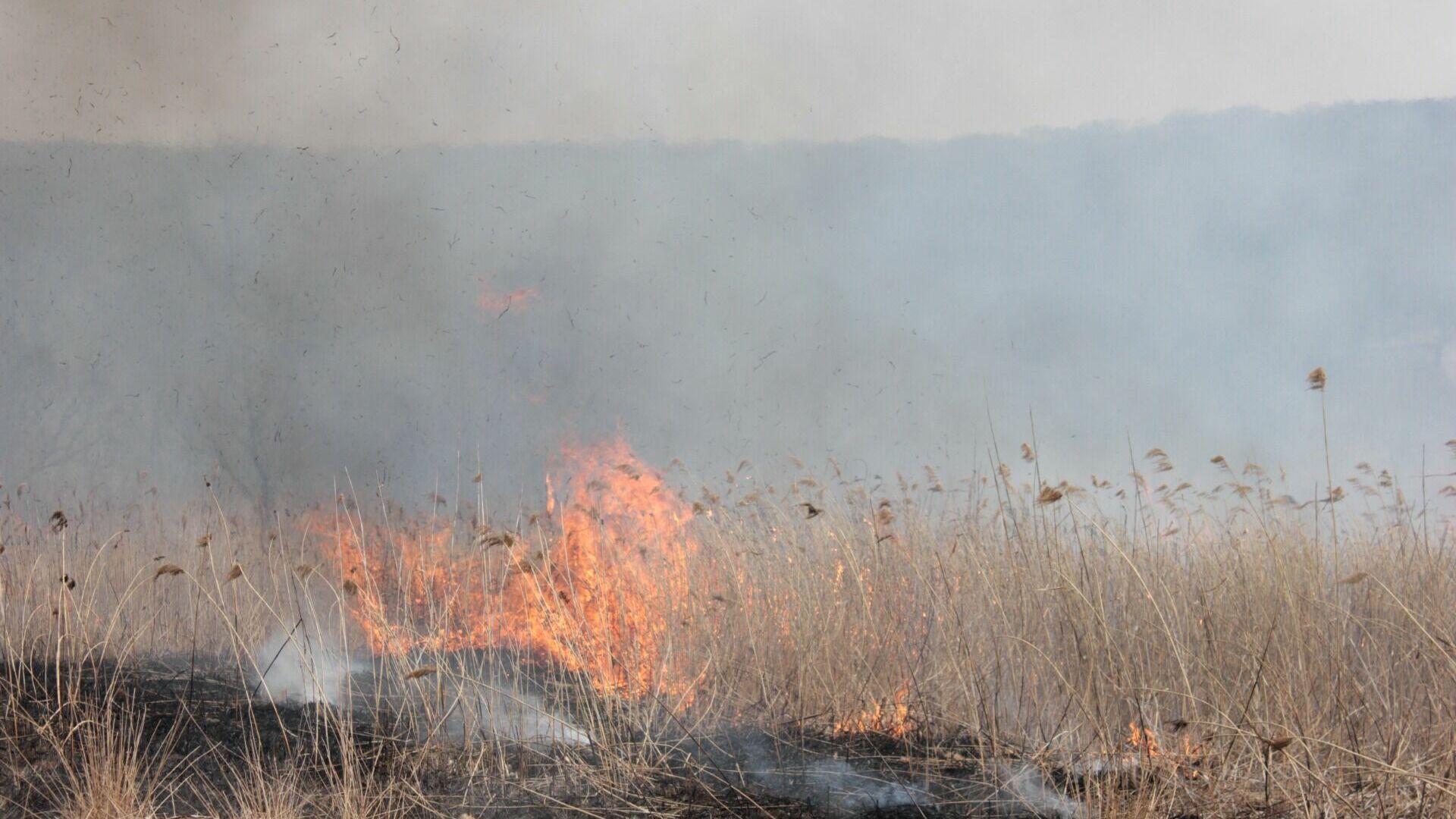 Пожароопасный сезон начался в Белгородской области