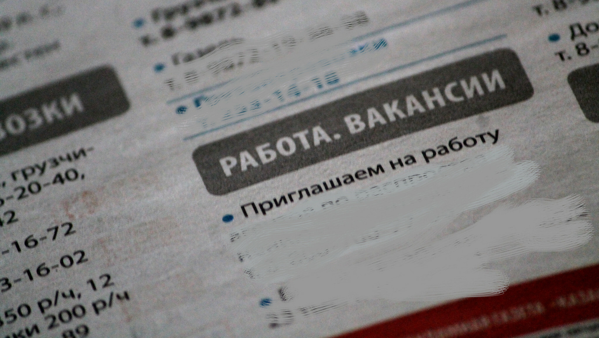 Эксперты оценили уровень безработицы в Белгородской области