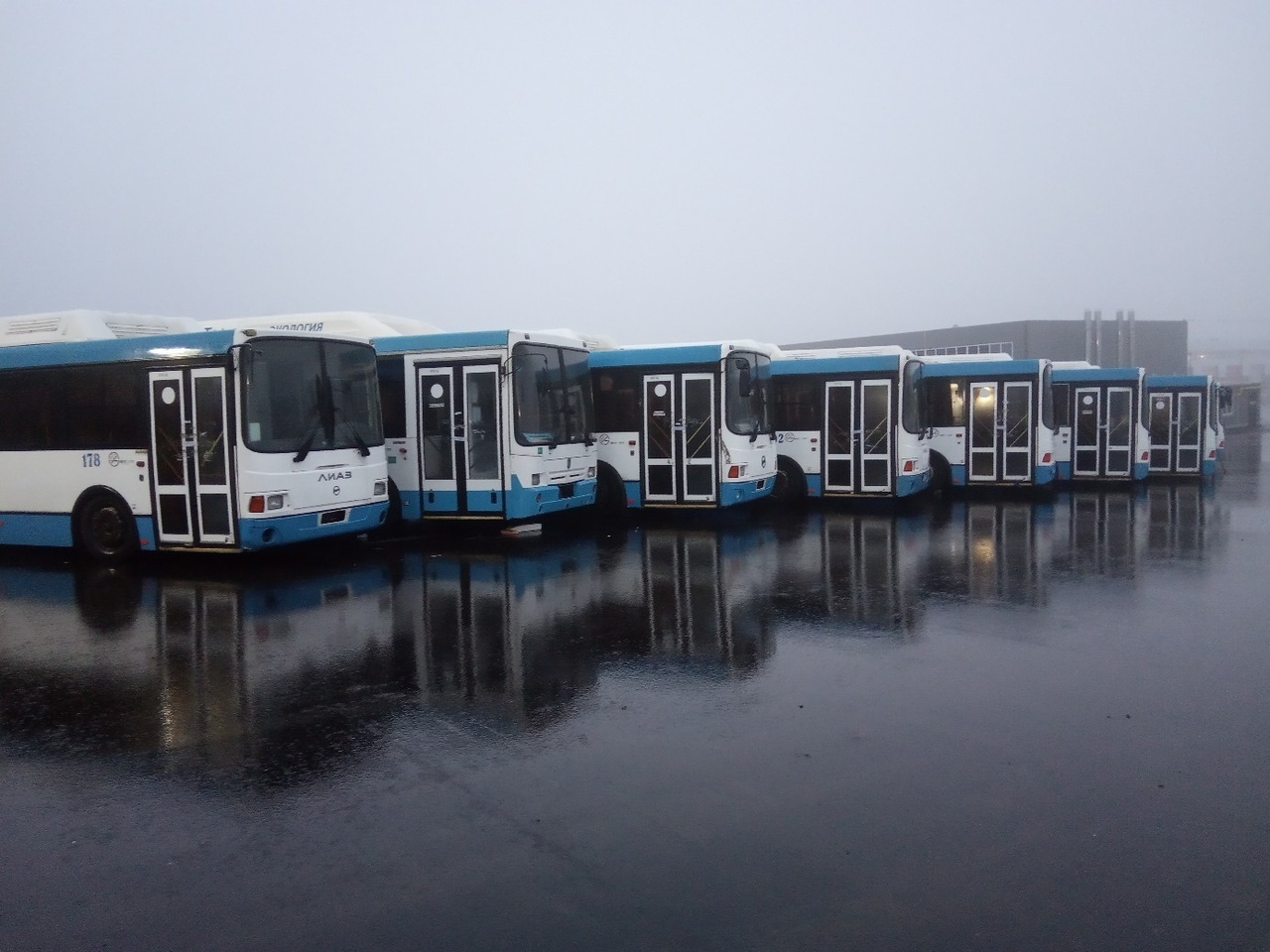 Стало известно расписание автобусов в Белгороде во время новогодних праздников