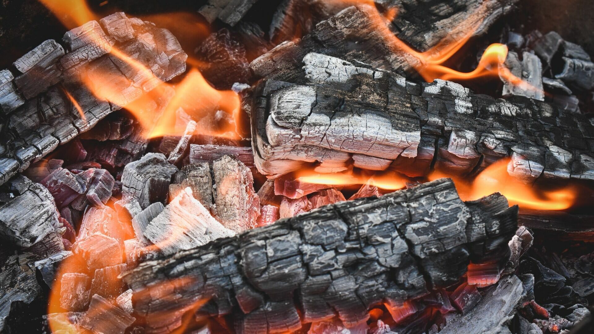 Можно ли белгородцам разжигать костры в лесу на майских праздниках?