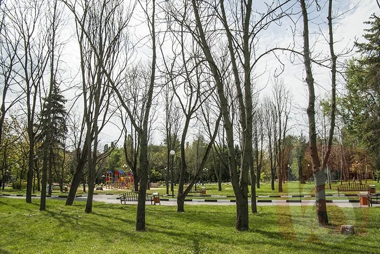 Парк Победы в центре Белгорода высыхает  