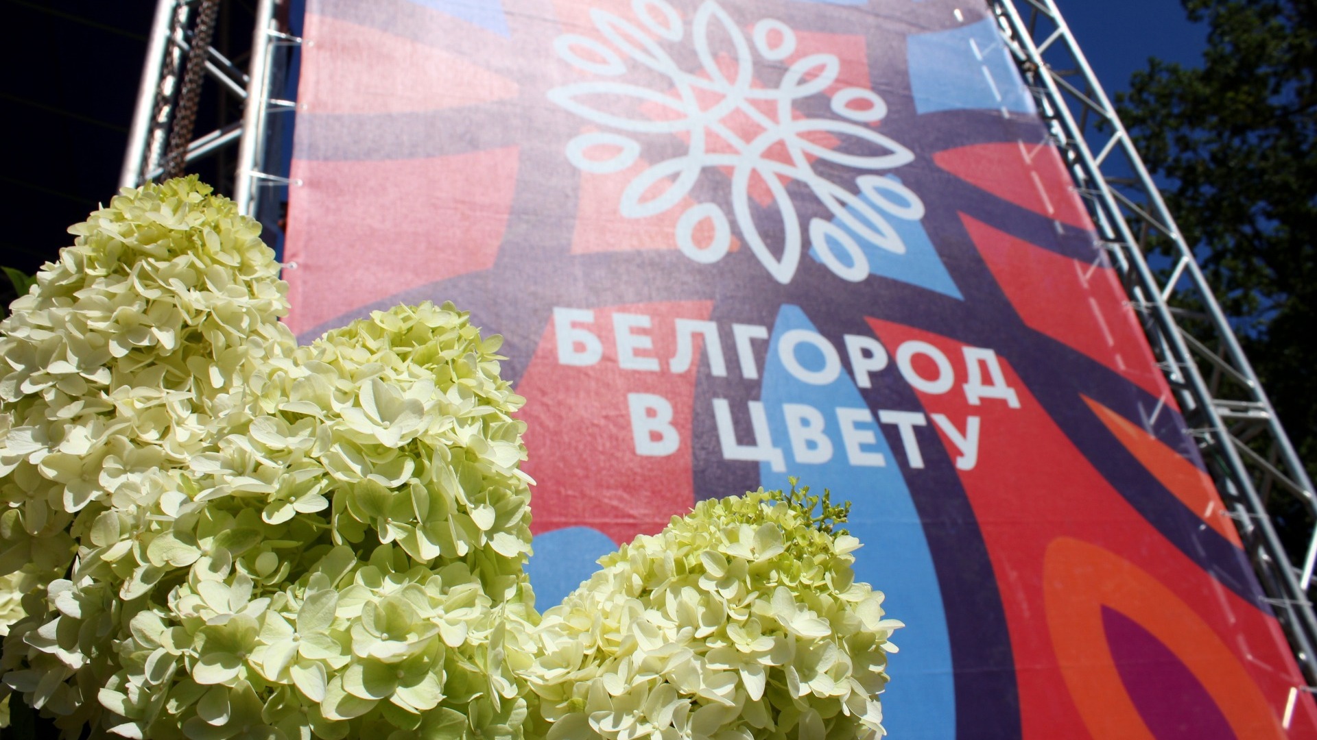 Гладкова попросили продлить фестиваль «Белгород в цвету» до пяти дней