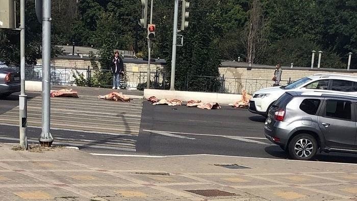 В Белгороде не могут найти машину, выронившую куски мяса на дорогу