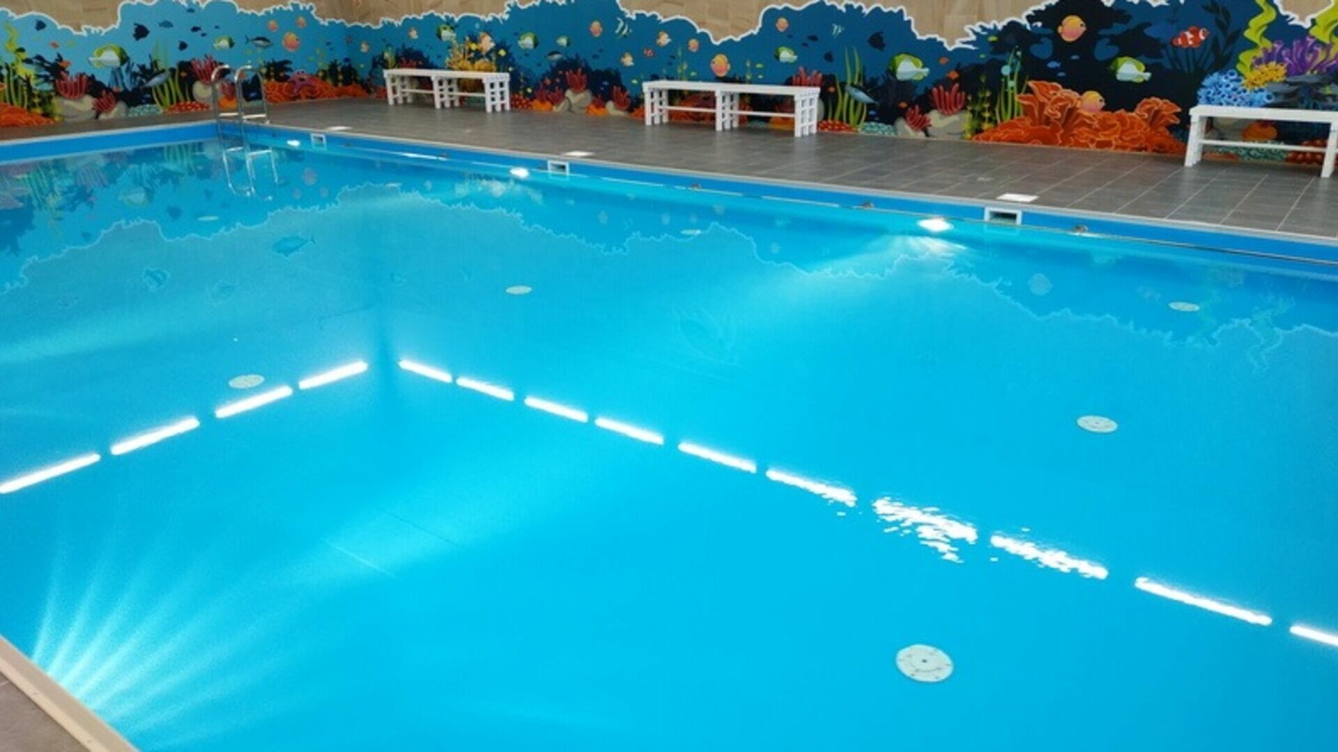 В спортшколе «Спартак» в Белгороде откроют отделение по плаванию для детей с ОВЗ