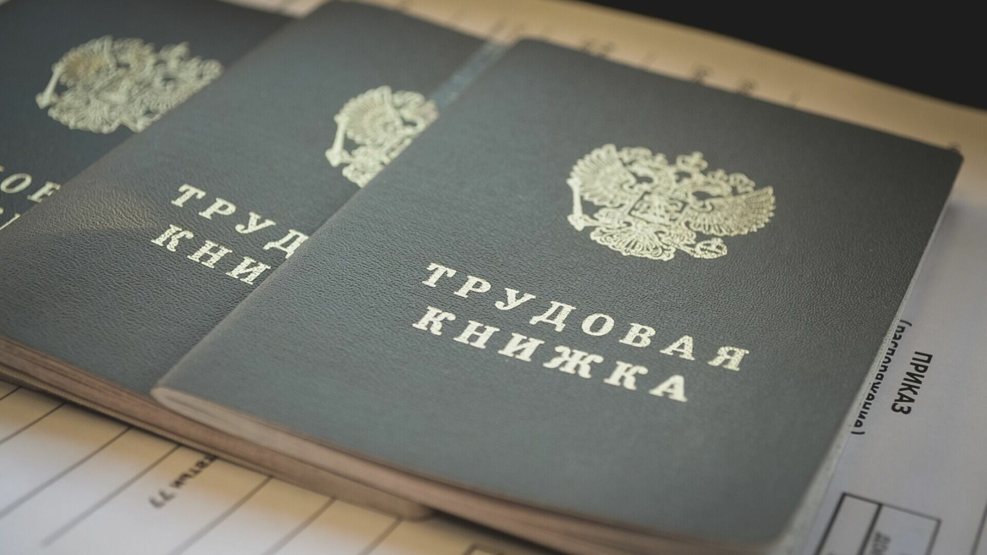 Белгородская прокуратура подтвердила нарушение трудовых прав украинских беженцев