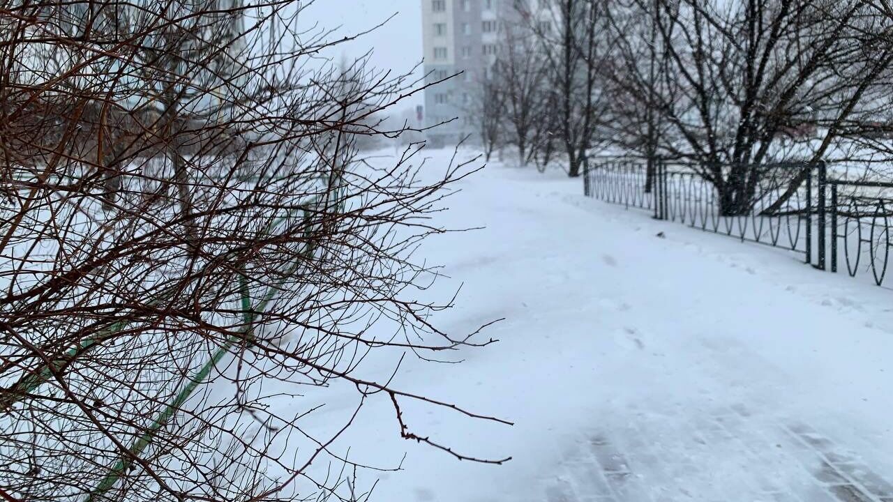 Снегопад продолжится в Белгородской области 19 февраля