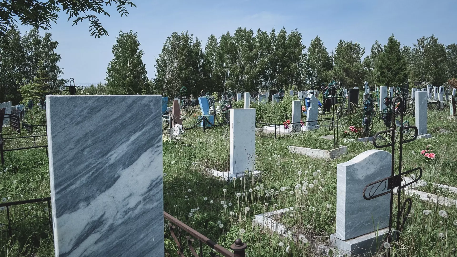 Кладбище в центре Белгорода оцифруют до 2025 года