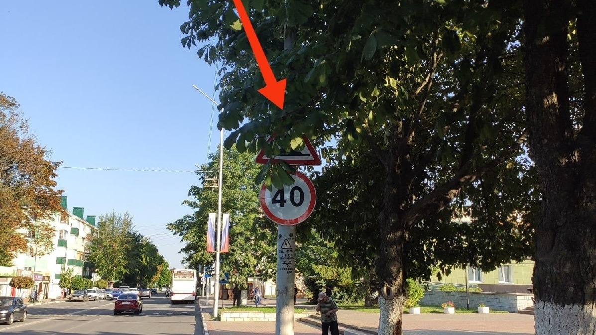 Белгородцы жалуются на закрытые ветками деревьев дорожные знаки