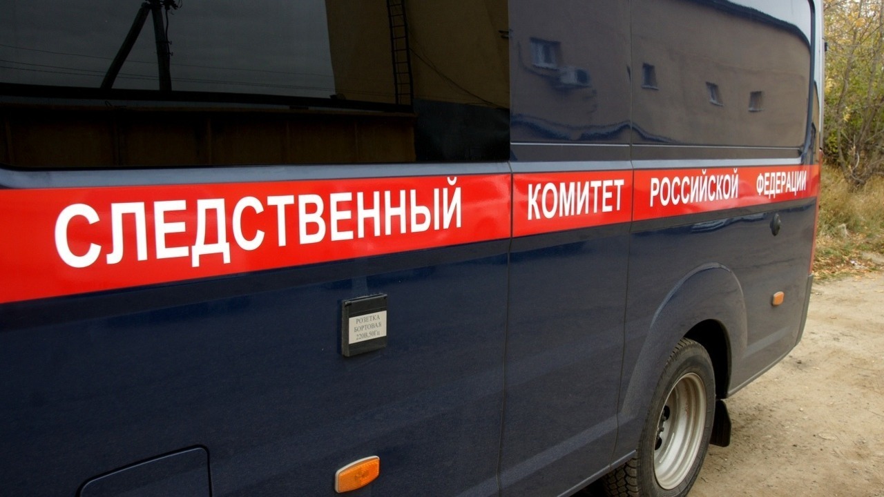 В Белгородской области возбудили уголовное дело после убийства девочки