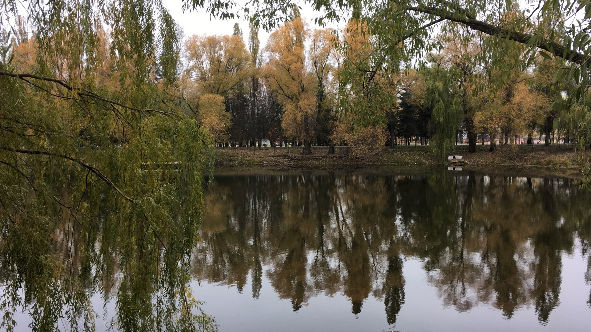 В парке Победы Белгорода начнут ловить нарушителей парковки