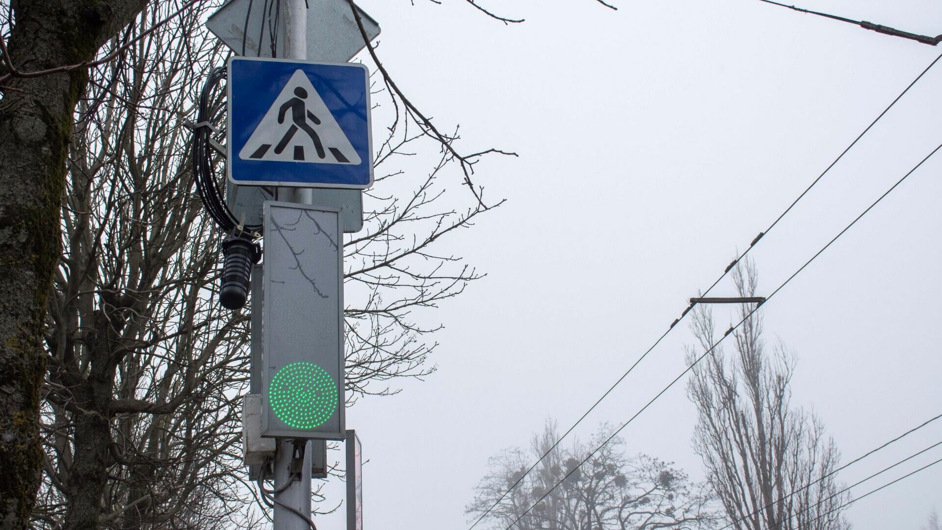 На нескольких перекрёстках в Белгороде не работают светофоры