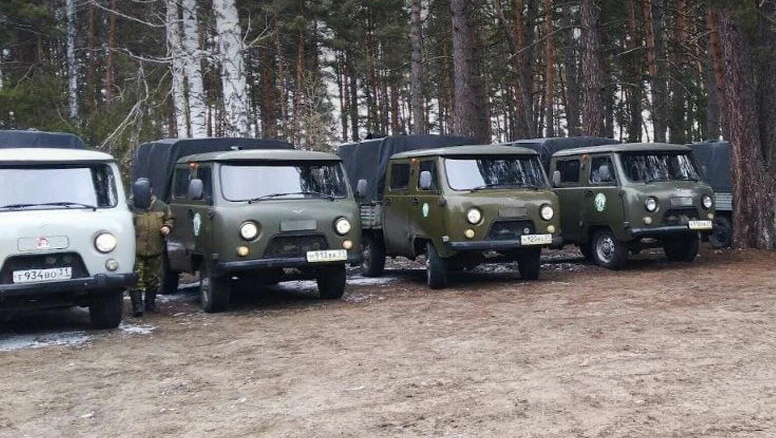 Белгородская область купит десять машин для охраны лесов