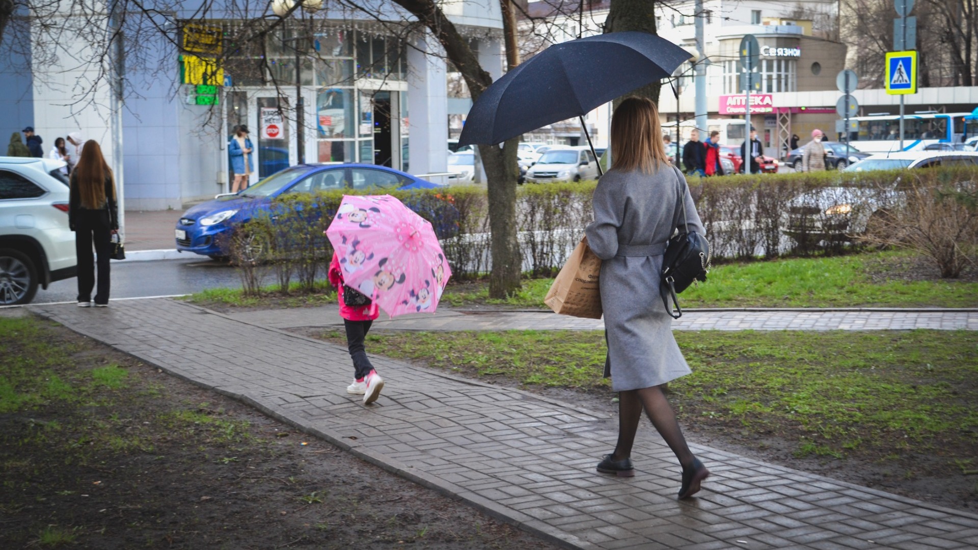 Кратковременные дожди и грозы ожидают Белгородскую область на этой неделе