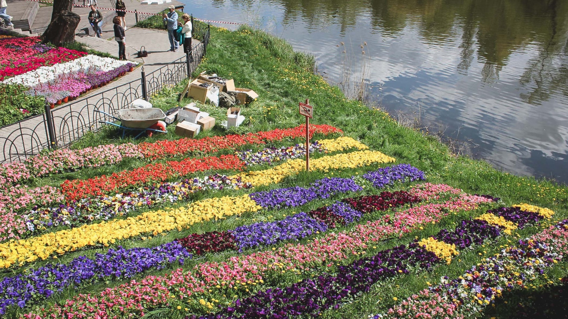 Для фестиваля «Белгород в цвету» разработают новую концепцию