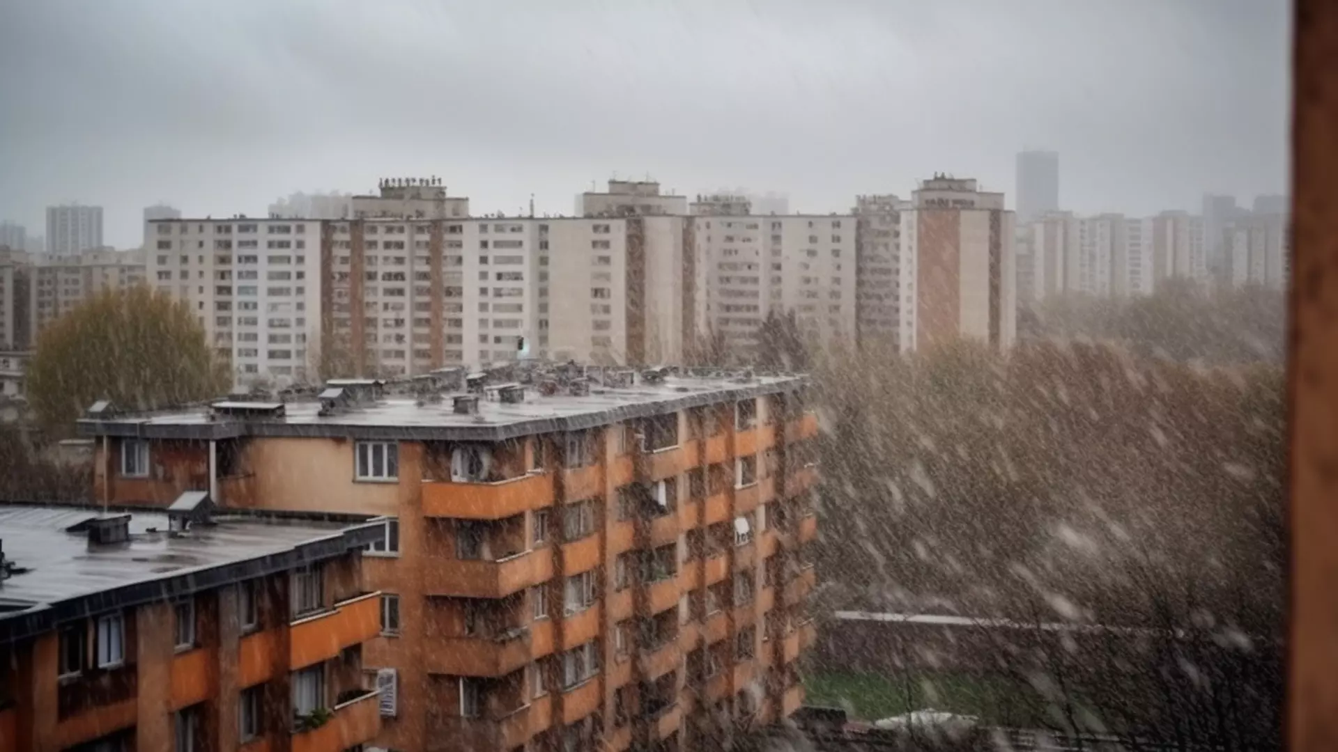 Первый снег в Белгородской области перенесли на 26 октября