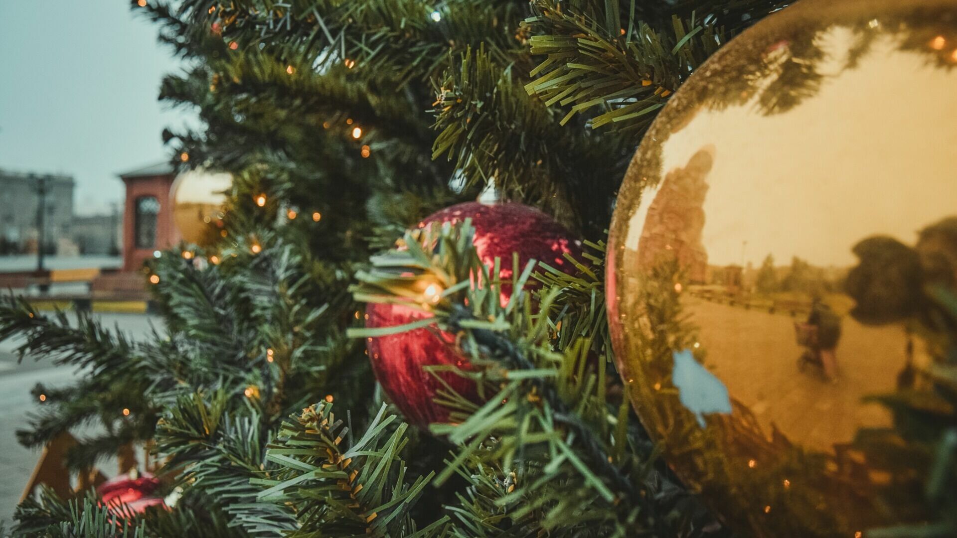 Кто отправится из Белгородской области на новогоднюю ёлку в Москву?