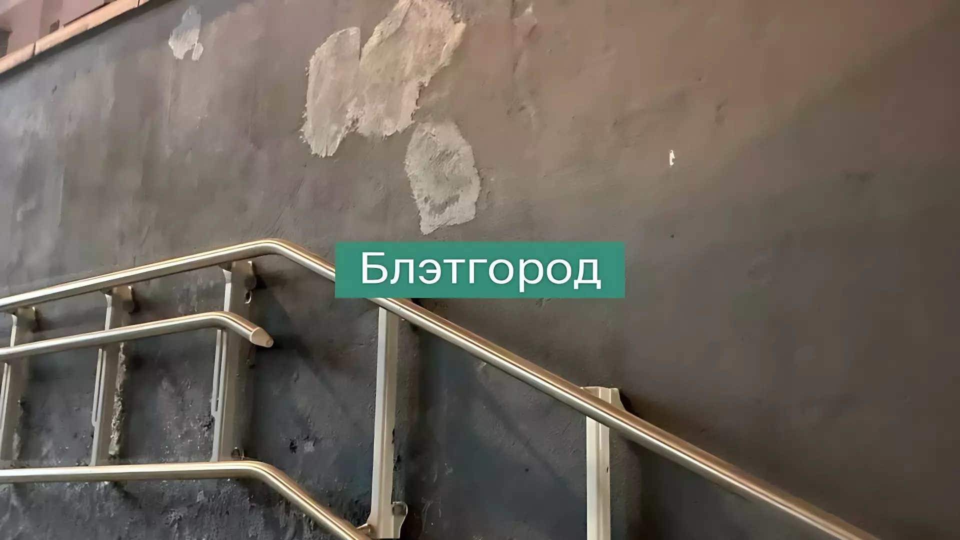 В подземном переходе в центре Белгорода стены покрылись высолами