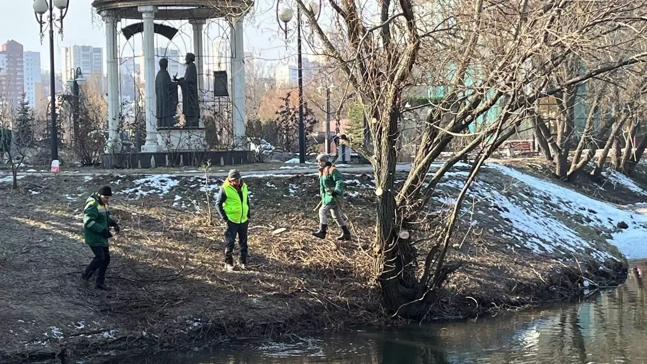 В Белгороде на Везёлке проводят санитарную обрезку деревьев