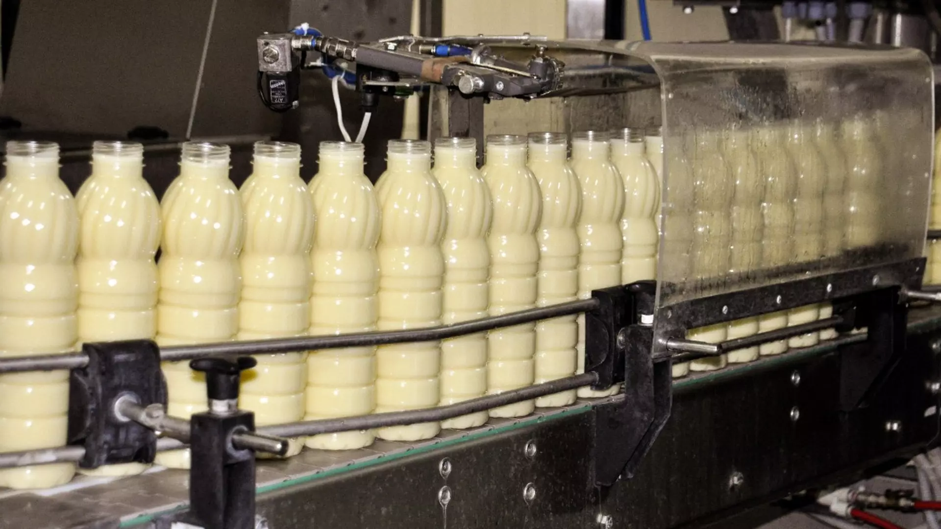 «Эфко» продало свой белгородский завод по производству молочной продукции