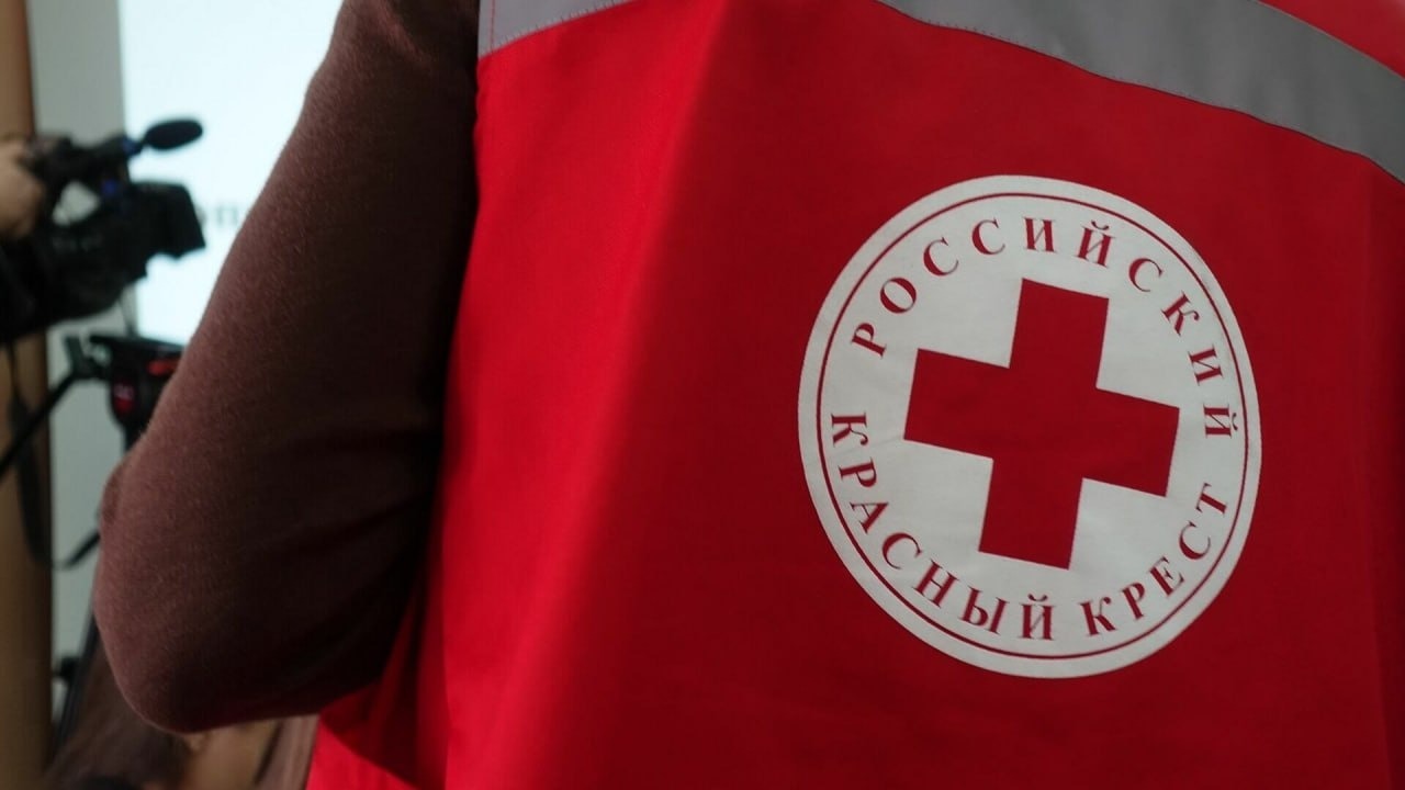 Выплаты от Красного Креста получили 8,9 тысячи белгородских семей