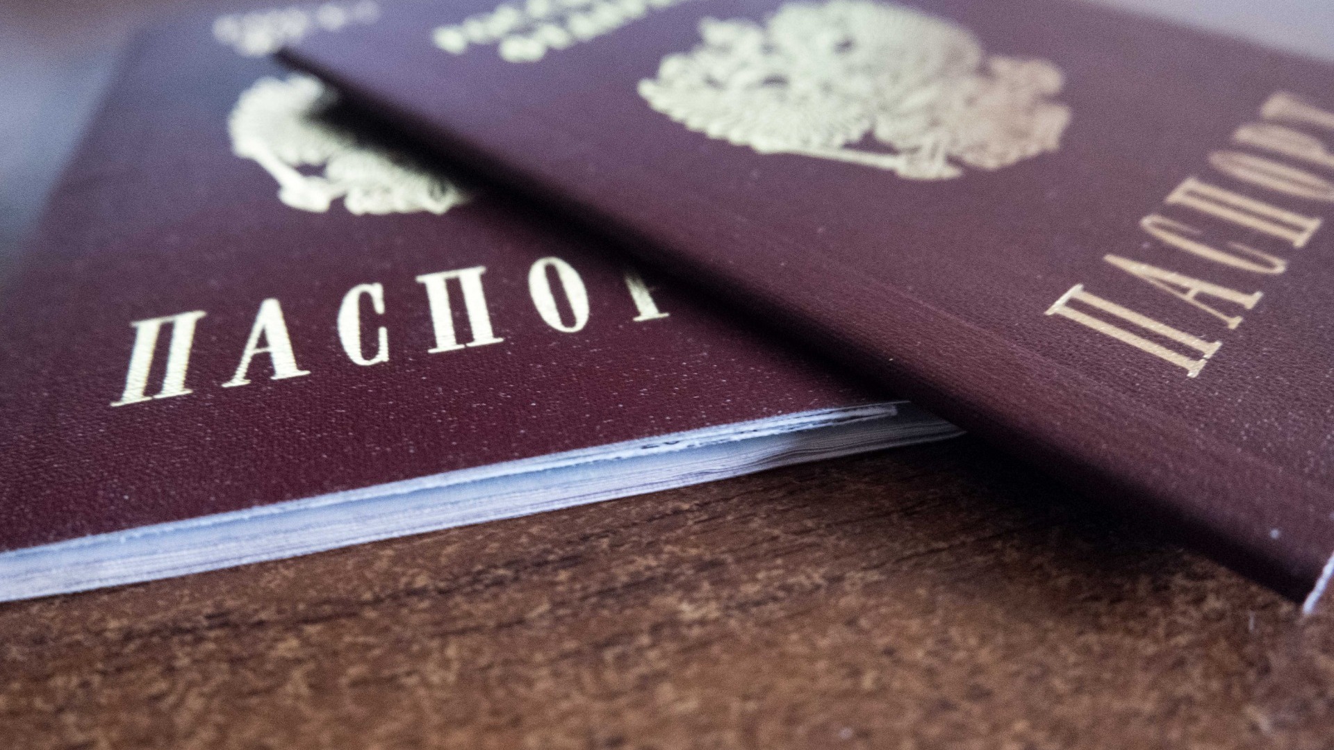 Матери белгородки не выдают паспорт России по виду на жительство Украины