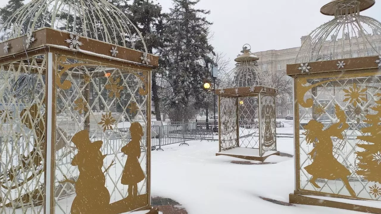 Верхушка ёлки на Соборной и мокрый снег: как прошёл первый день зимы в Белгороде