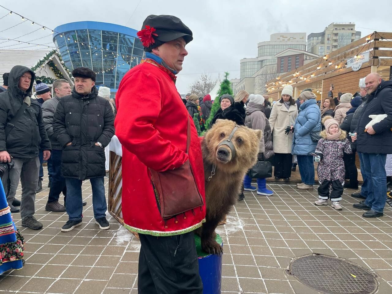 медведь на улицах Белгорода