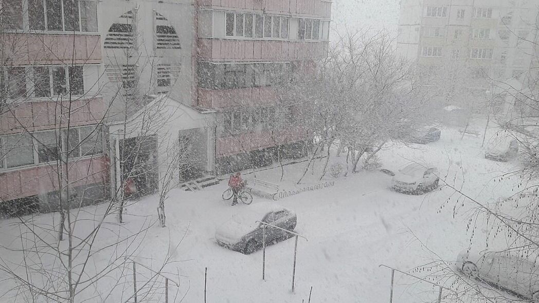Какая погода будет в Белгороде в феврале?