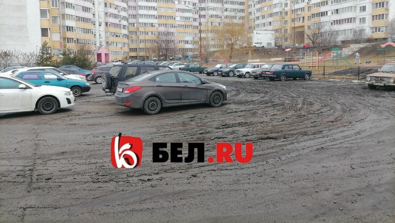 После публикации Бел.ру мэрия Белгорода прокомментировала залитую грязью парковку