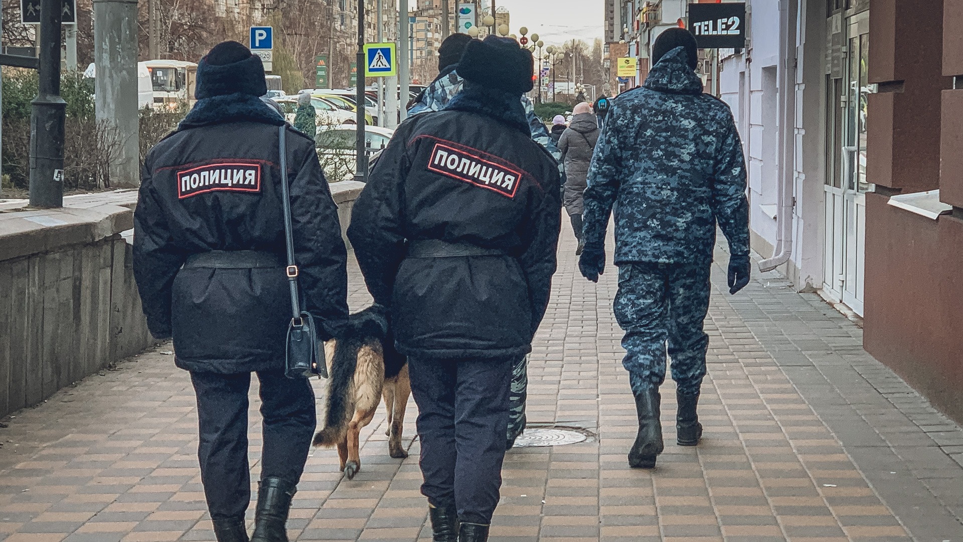 СМИ сообщили о задержании фотографировавшего позиции ВС РФ подростка под Белгородом