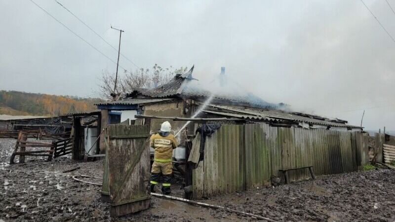 Белгородский пенсионер погиб в огне в своём доме, а мужчину спасли из горящего гаража