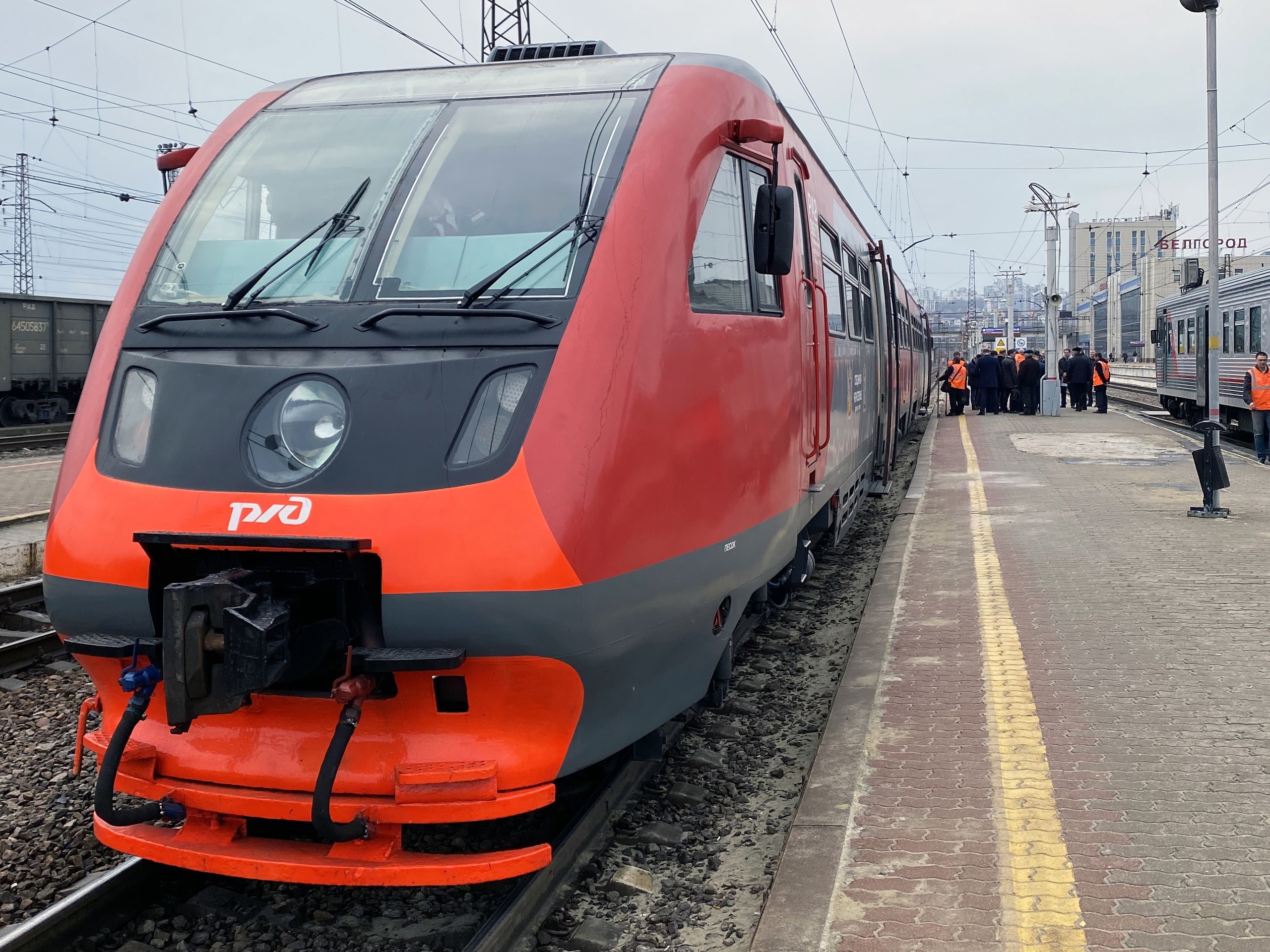 В минтрансе назвали стоимость билета на новый поезд от Белгорода до Воронежа