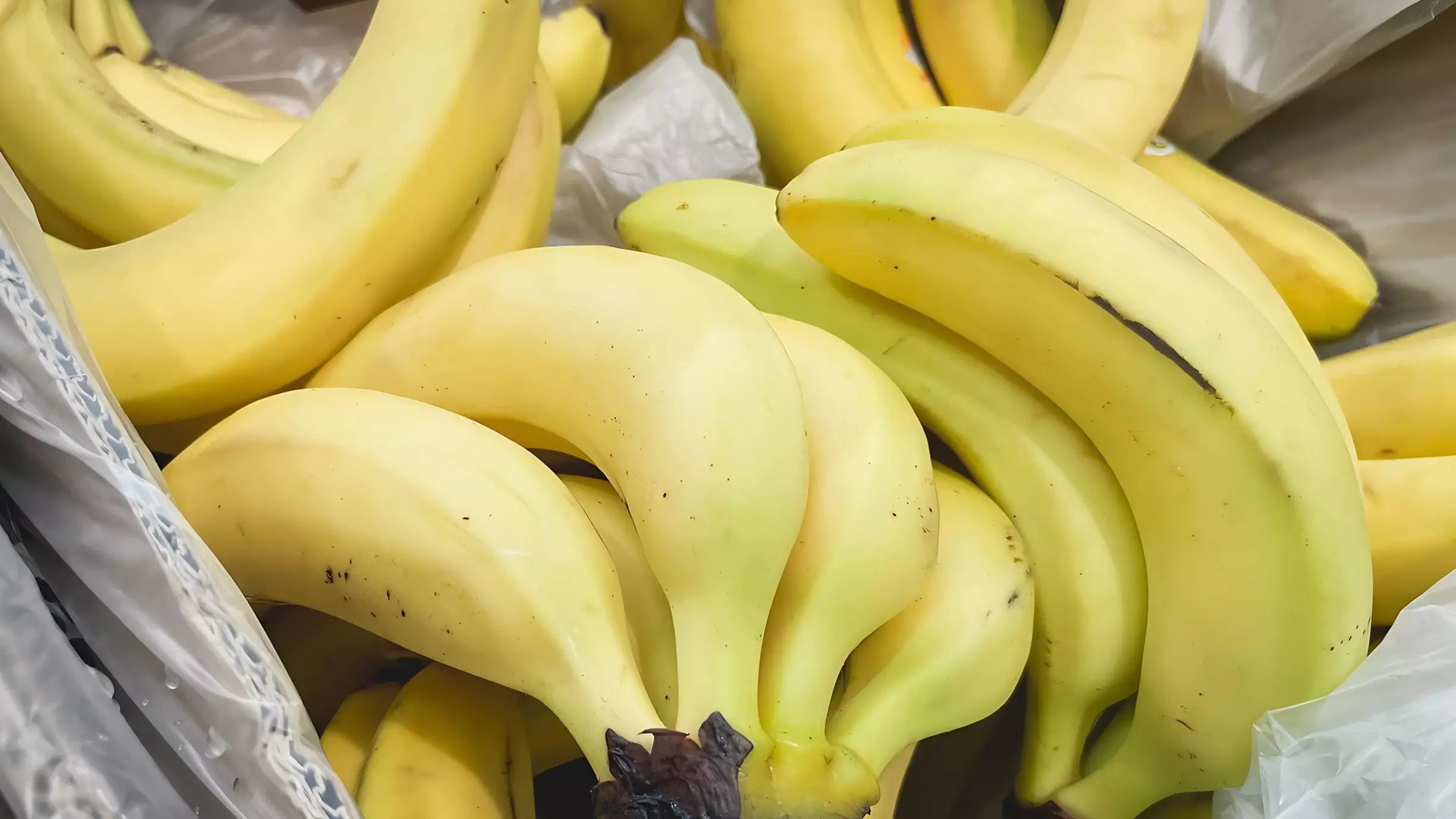 Подорожают, как и яйца? Что будет с ценами на бананы из-за войны с мафией в Эквадоре