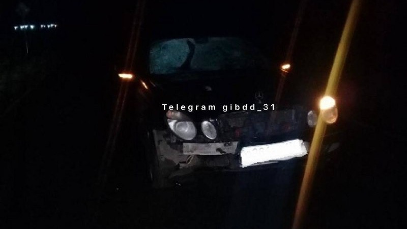 В Белгородской области женщина погибла под колёсами Mercedes-Benz