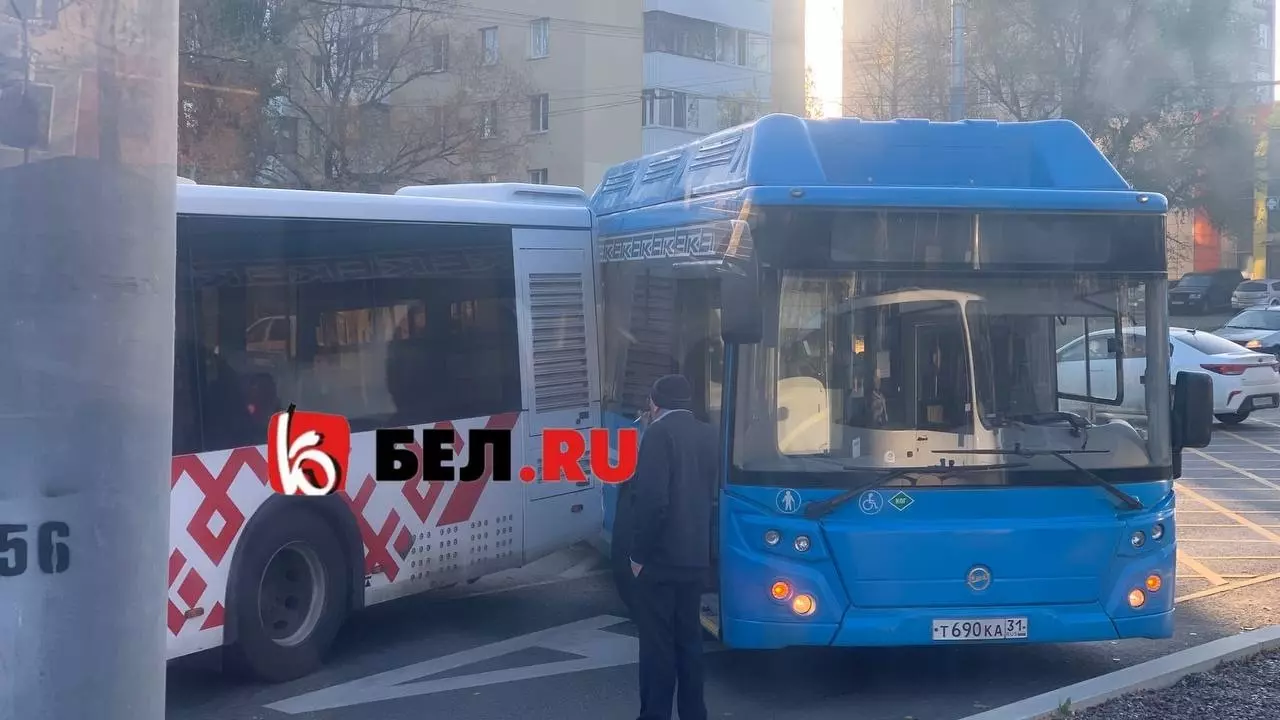 Автобусы столкнулись на пересечении Костюкова-Щорса в Белгороде
