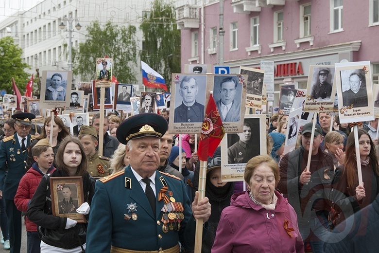 В Белгородской области живёт 641 ветеран Великой Отечественной войны