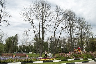 Парк Победы в центре Белгорода высыхает