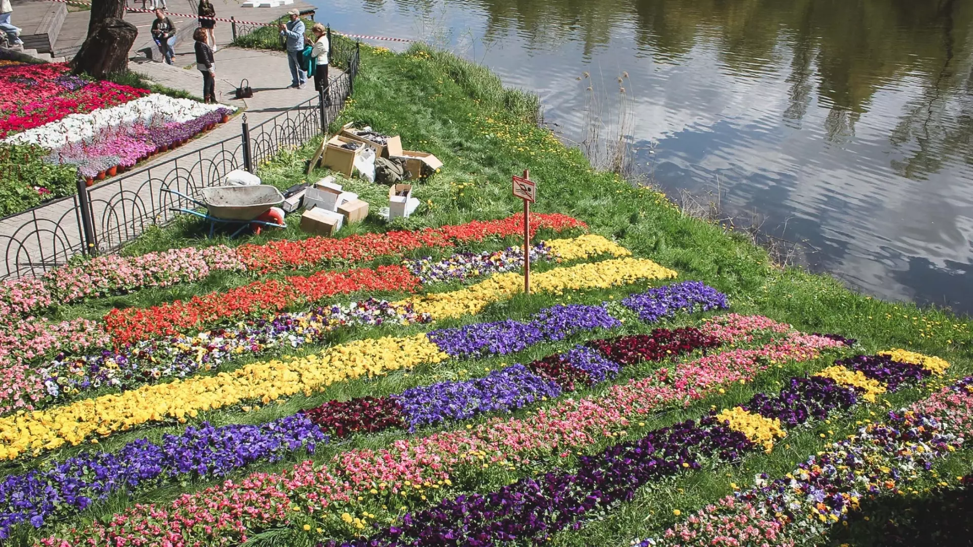 Цветы в Белгороде