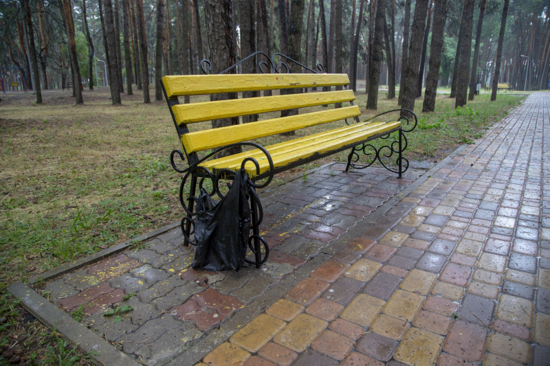 Эксперты не поймали Wi-Fi в центральном парке Шебекино Белгородской области
