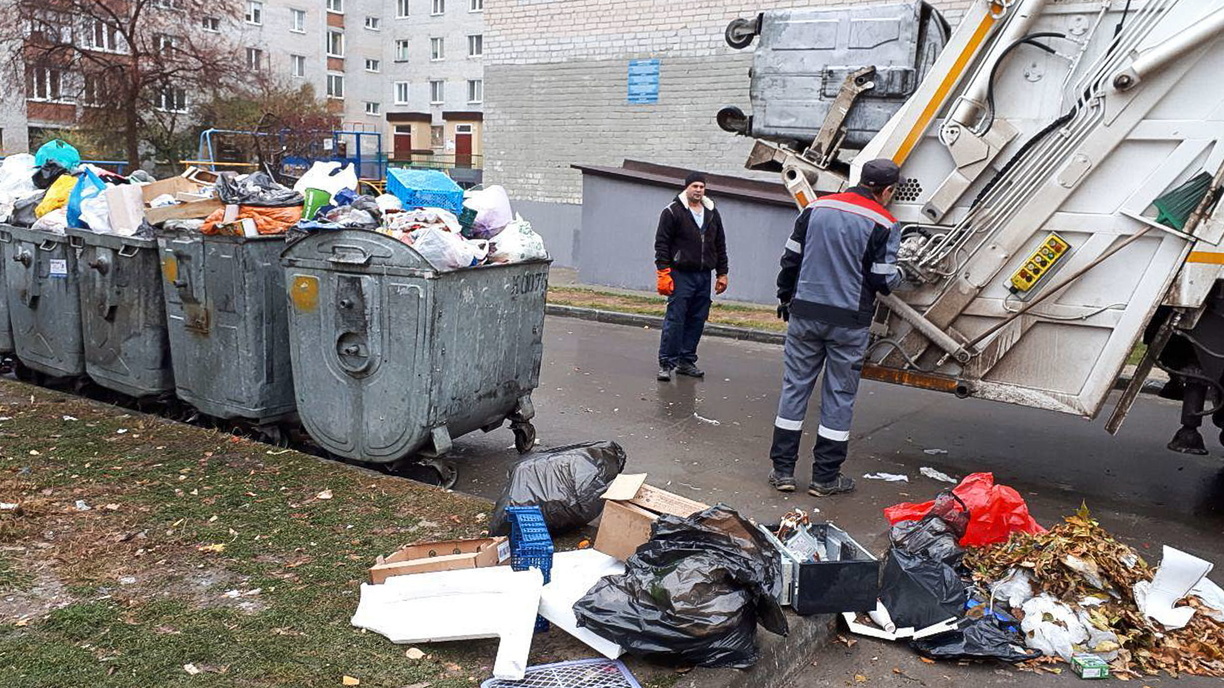 В РЭО предложили изымать мусоровозы за нелегальный сброс отходов
