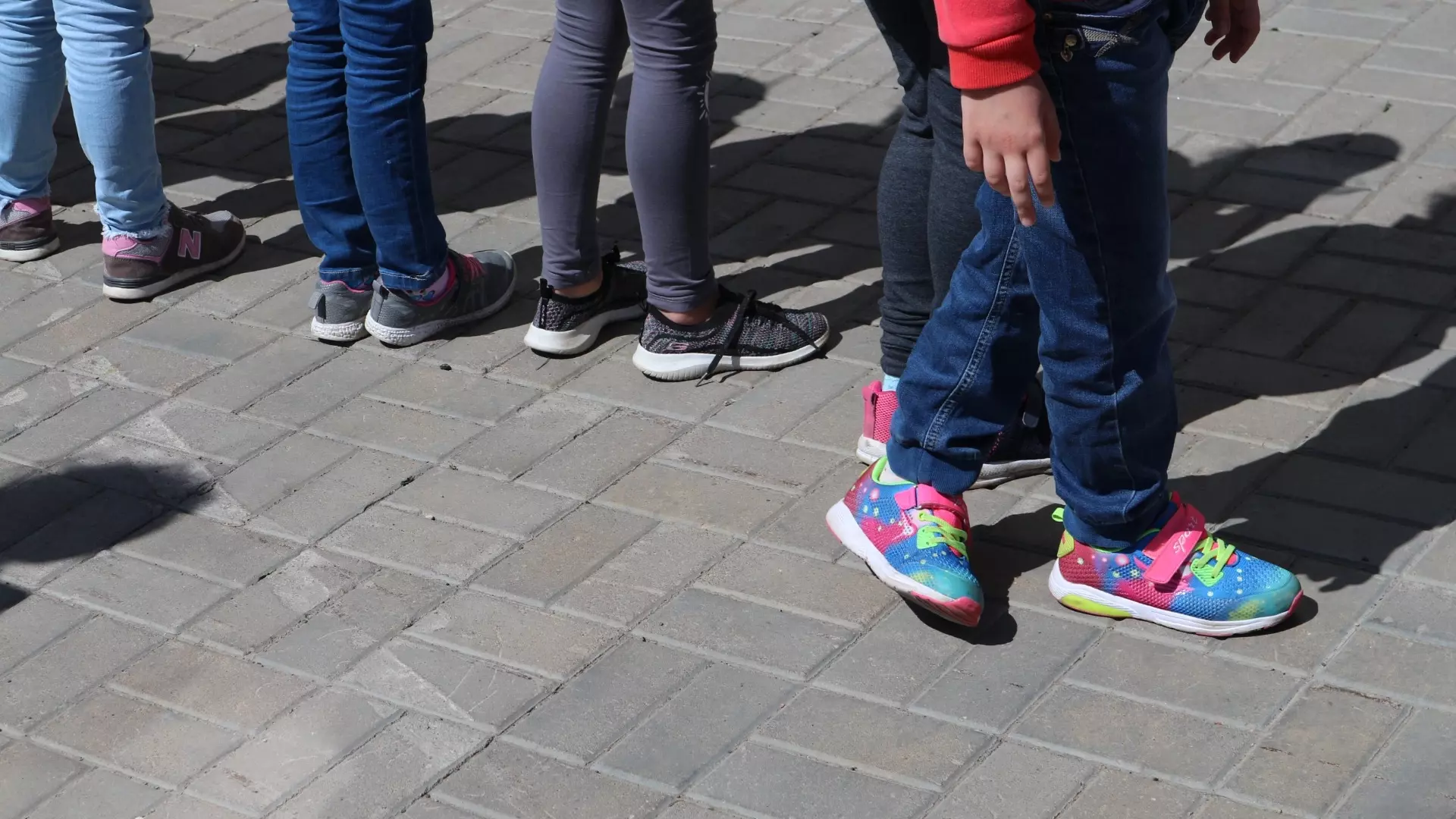 Питерский колледж туризма закупает для белгородских детей толстовки и кроссовки