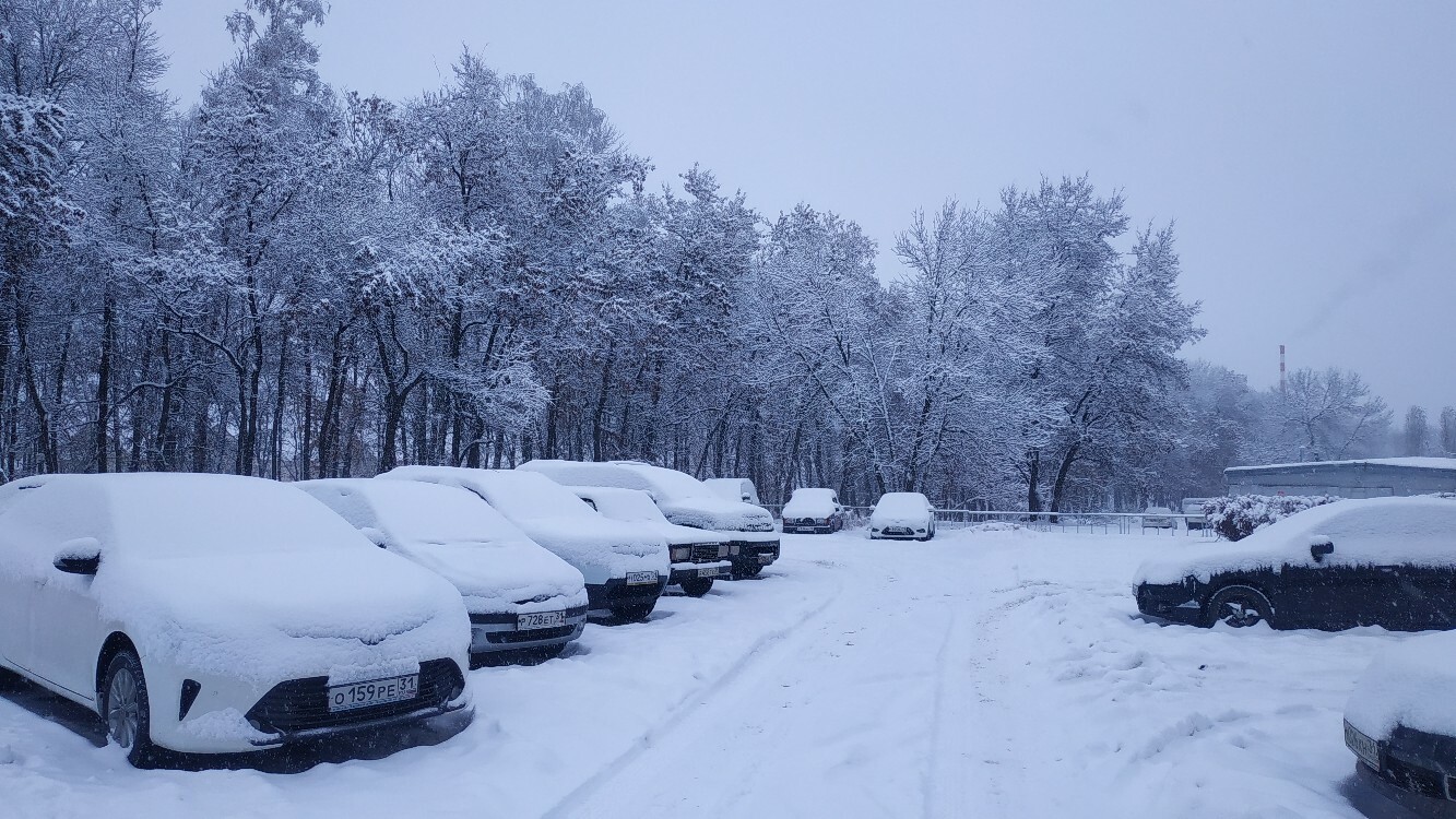 Белгород завалило снегом