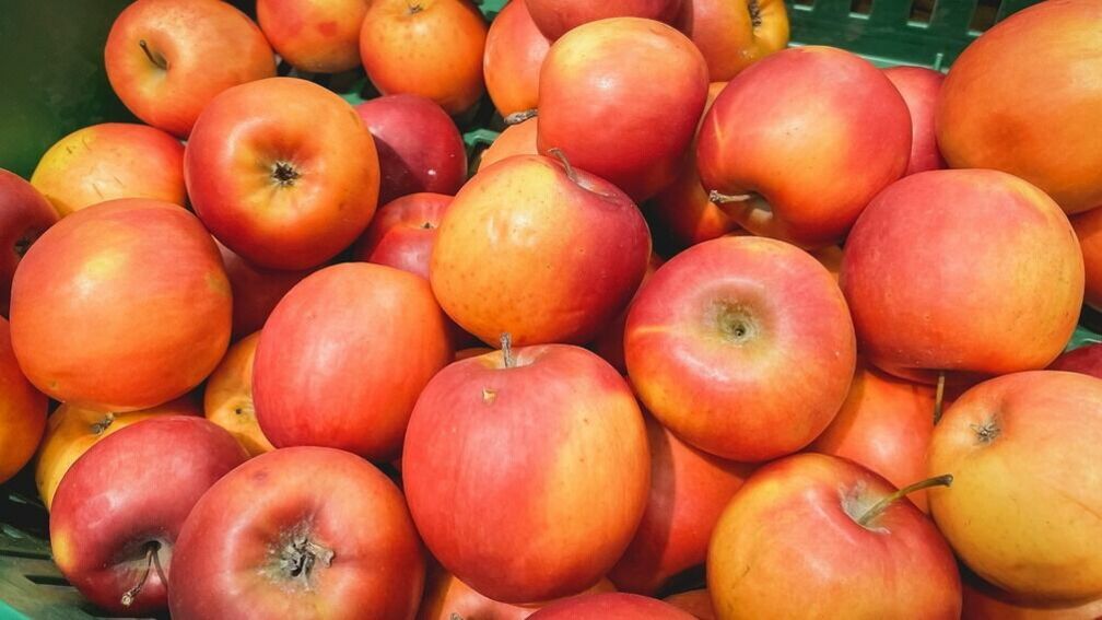 В Белгороде в липецких яблоках нашли пестициды