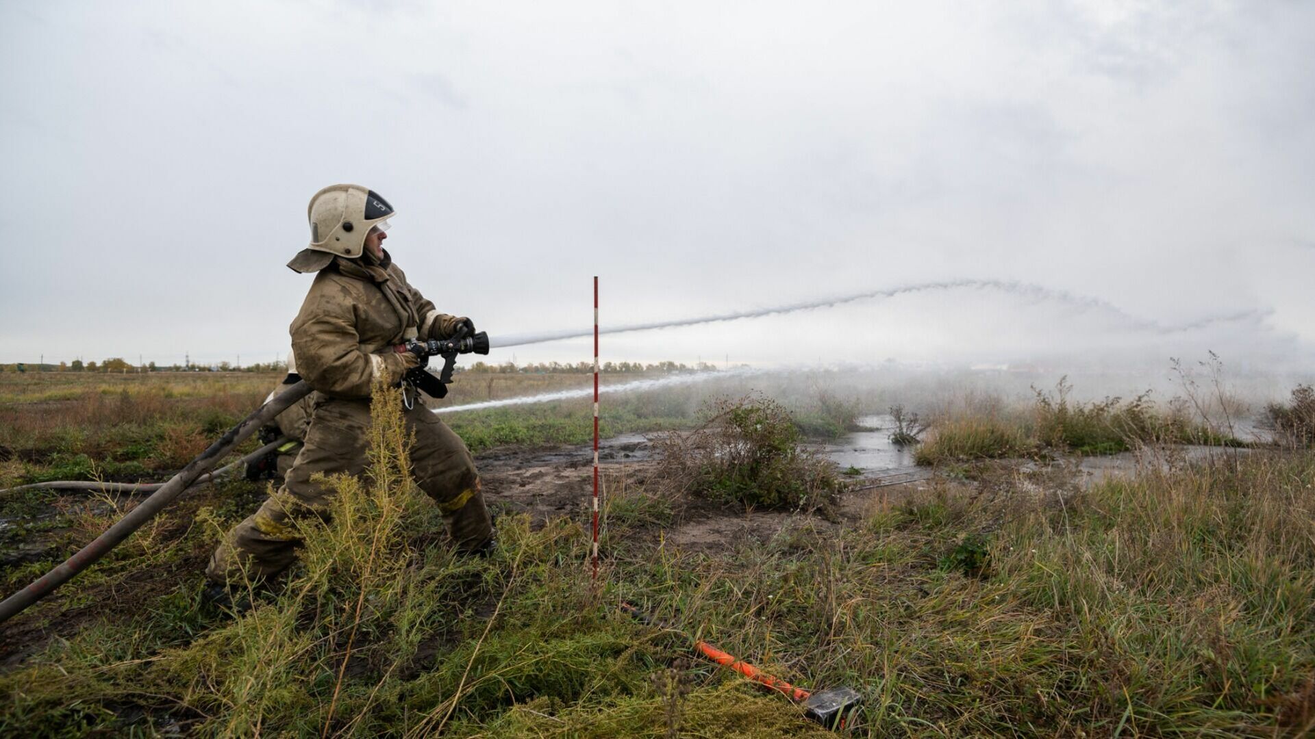 Минприродопользования: в Белгородской области уже давно не фиксируются лесные пожары